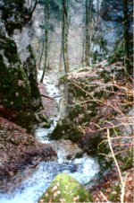 Source de la Vingeanne